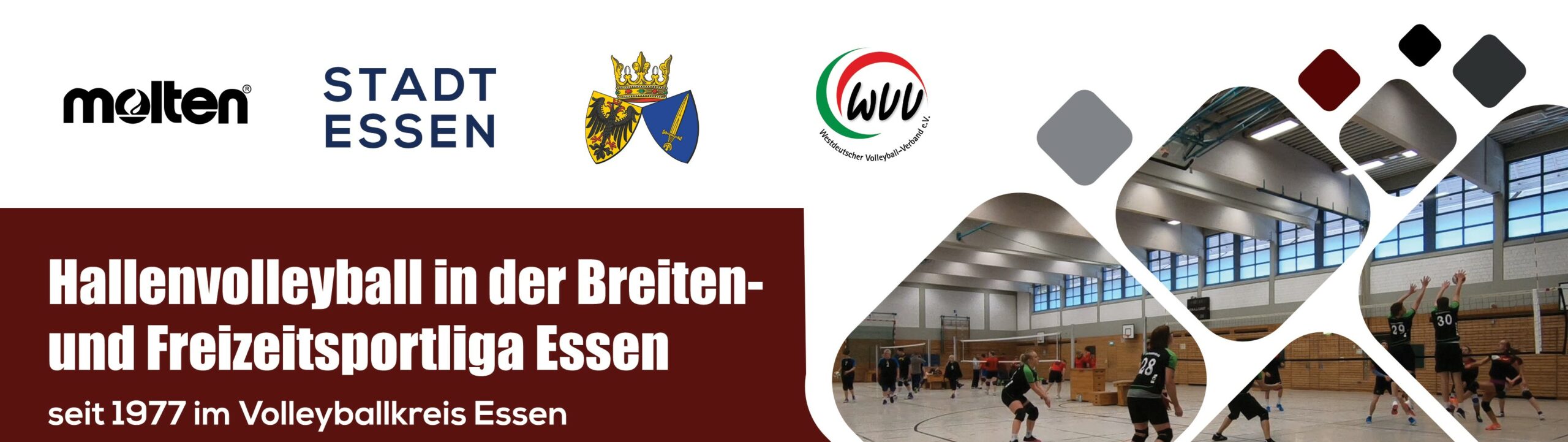 Banner BFS Essen Volleyball